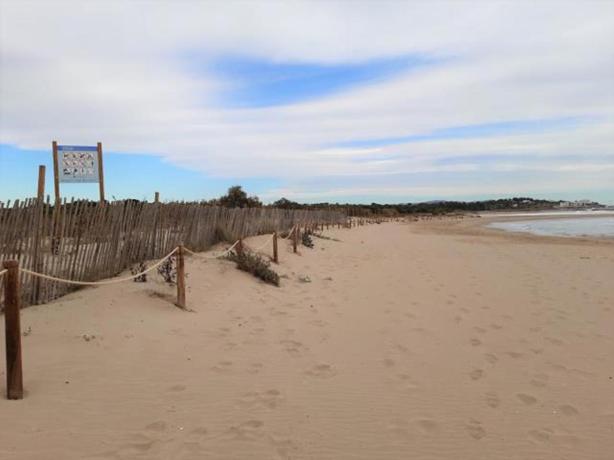 VNG aposta per millorar i conservar l’ecosistema litoral protegit de la platja Llarga