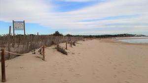 VNG aposta per millorar i conservar l’ecosistema litoral protegit de la platja Llarga