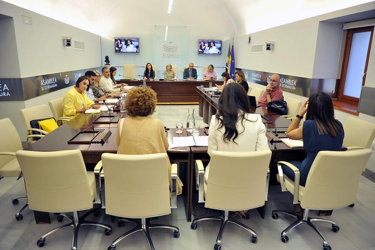 Comisión de Salud y Atención a la Dependencia de la Asamblea de Extremadura.