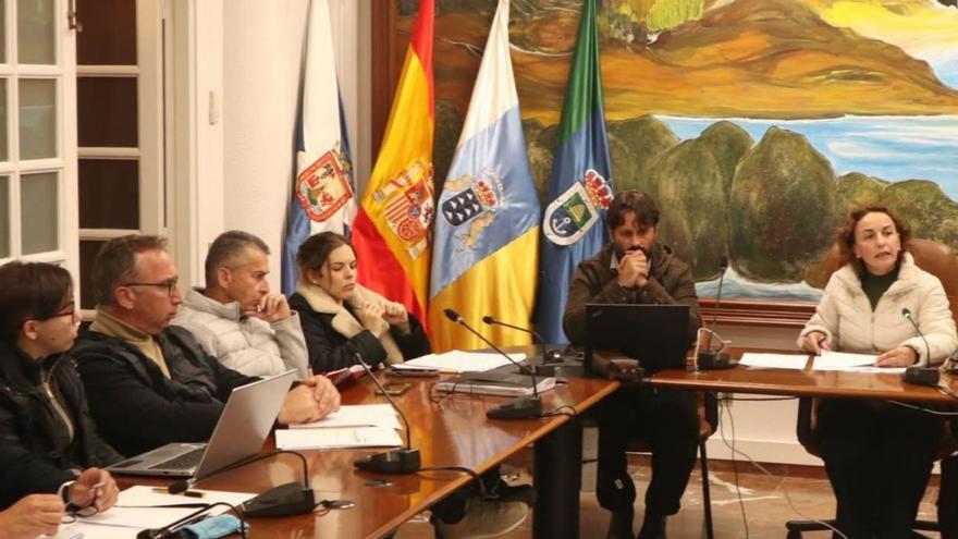 Gobierno municipal de Arico en sesión plenaria.
