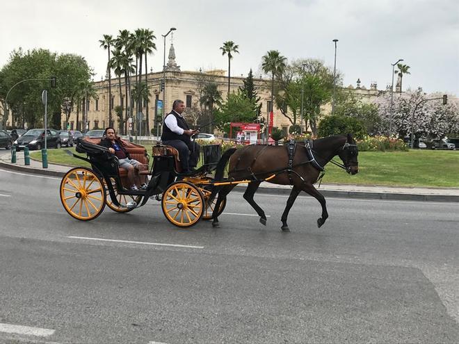 Coche de caballos