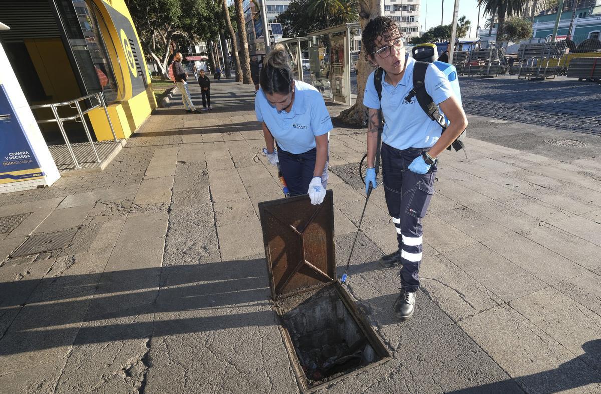 Trabajos de desratización en la zona del parque de Santa Catalina, en Las Palmas de Gran Canaria Trabajos de desratización en la zona del parque de Santa Catalina, en Las Palmas de Gran Canaria