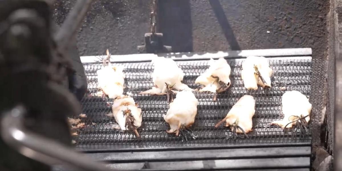 Las marbacoas son una opción interesante para el verano.