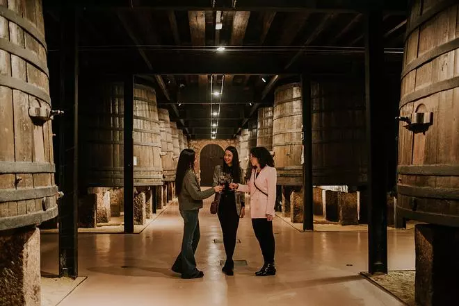 Disfruta de WOW: la experiencia única de descubrir Logroño a través de su patrimonio enológico y cultural