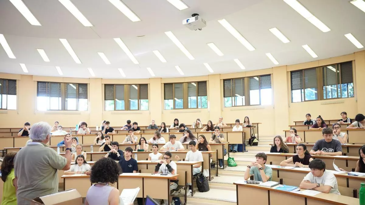 Cómo consultar las notas de la Selectividad 2026 en Extremadura y descargar la tarjeta oficial
