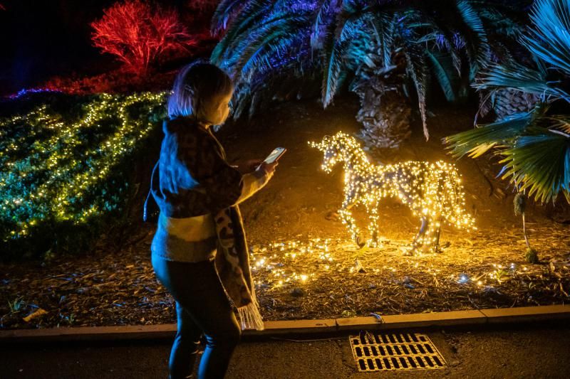 'Naturaleza Encendida'  en el Palmetum (Santa Cruz de Tenerife)