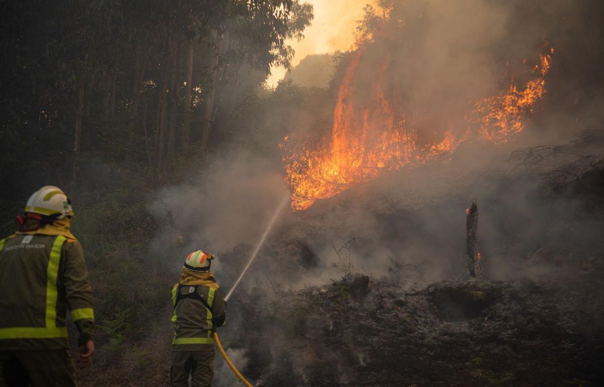 Efectivos de extinción en un incendio forestal.