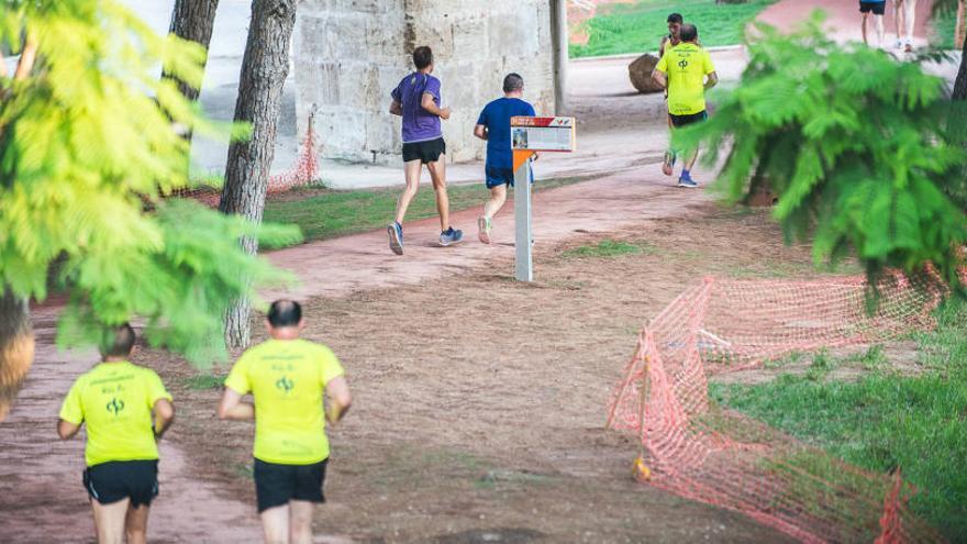 Circuit 5K Jardí del Turia