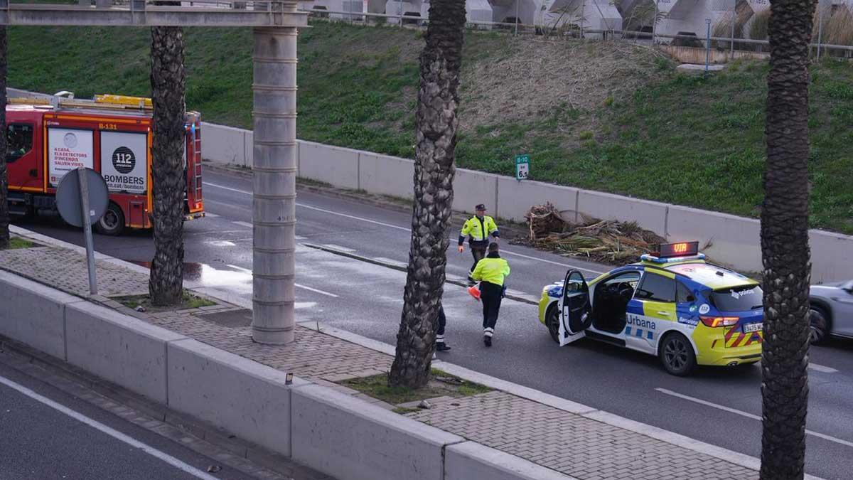 La policía paraliza el tráfico en la ronda Litoral de Barcelona para que los bomberos retiren ramas de árboles caídas por el temporal de viento.