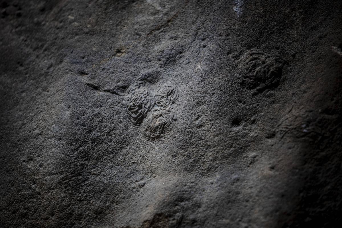 Montones fecales de gusanos arenícolas de hace 152 millones de años