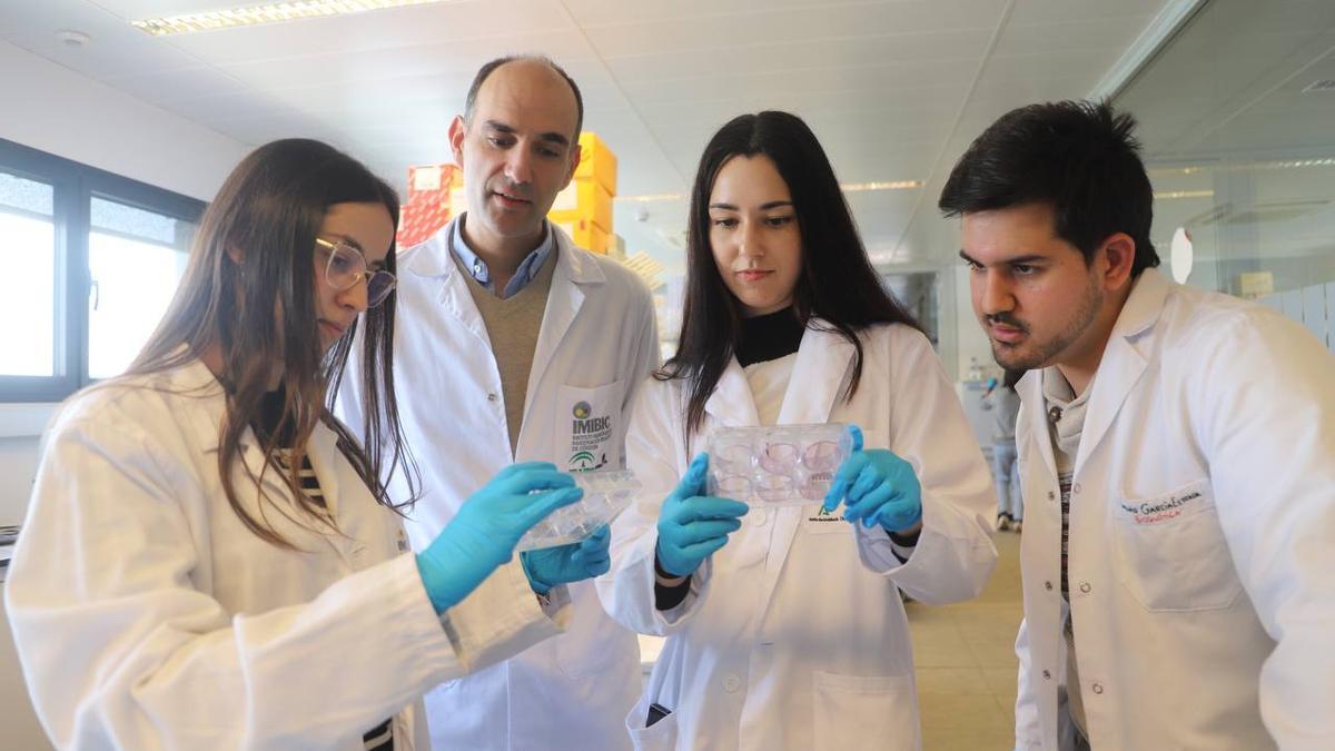 Manuel Gahete, investigador del Imibic.