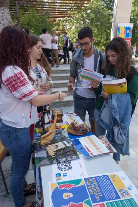 12 campanadas o comida vegana en foodtrucks para dar la Bienvenida a la UA