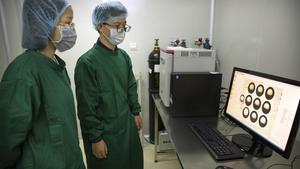 Dos investigadores chinos, antiguos colaboradores de He Jiankui, observan unos embriones en una pantalla.