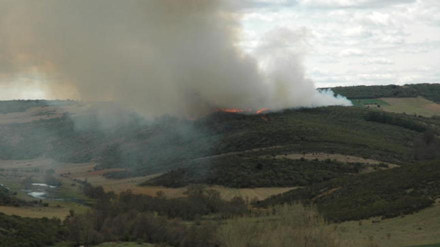 Al fondo, en el montículo, las llamas del incendio que afectó a terrenos del término municipal de Flores de Aliste