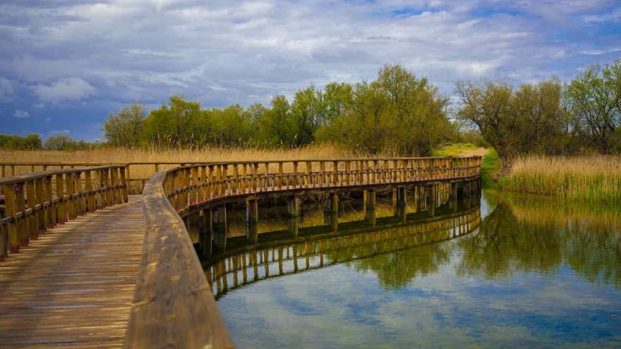 Puente de pasarela de madera, Parque Nacional Tablas de Daimiel