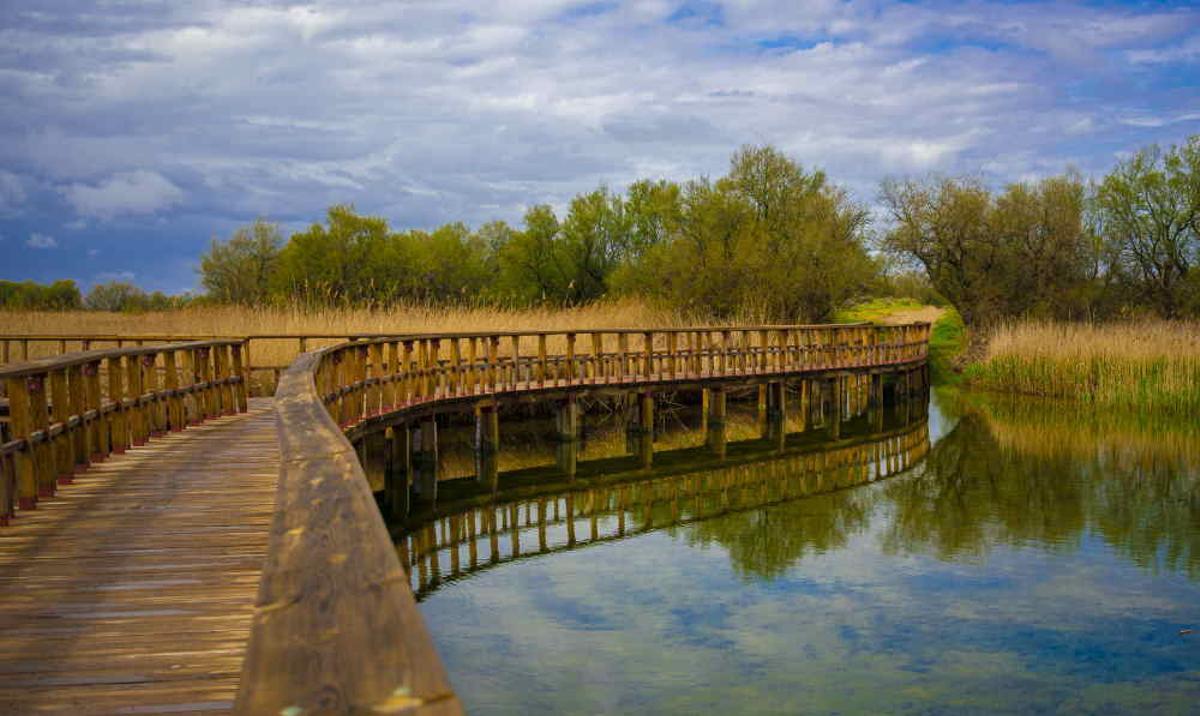 Puente de pasarela de madera, Parque Nacional Tablas de Daimiel
