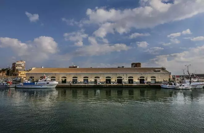 Los ecologistas alegan contra la autorización de edificios de 12 metros en el puerto de Torrevieja