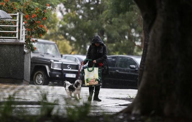 Delia Padrón , lluvia , tiempo borrascoso , borrasca