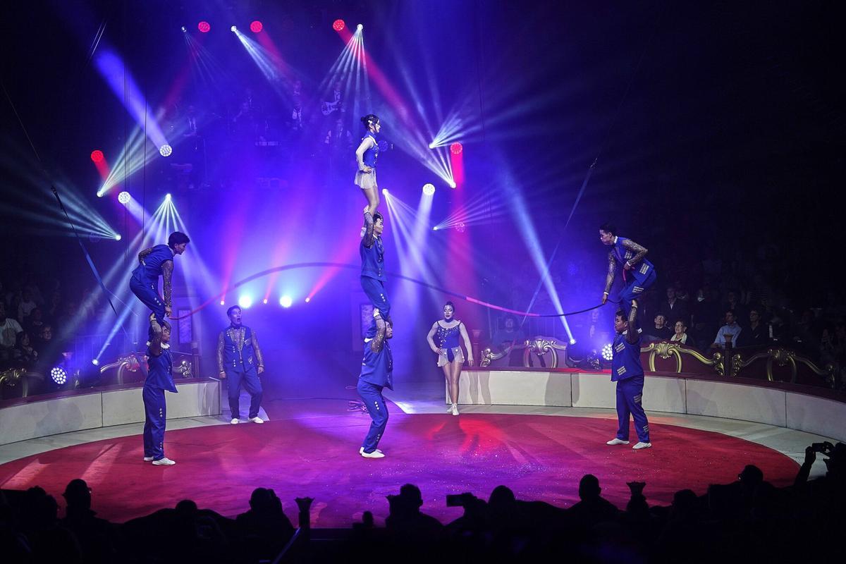 Les imatges de l'espectacle Vermell del Festival del Circ de Girona 2026