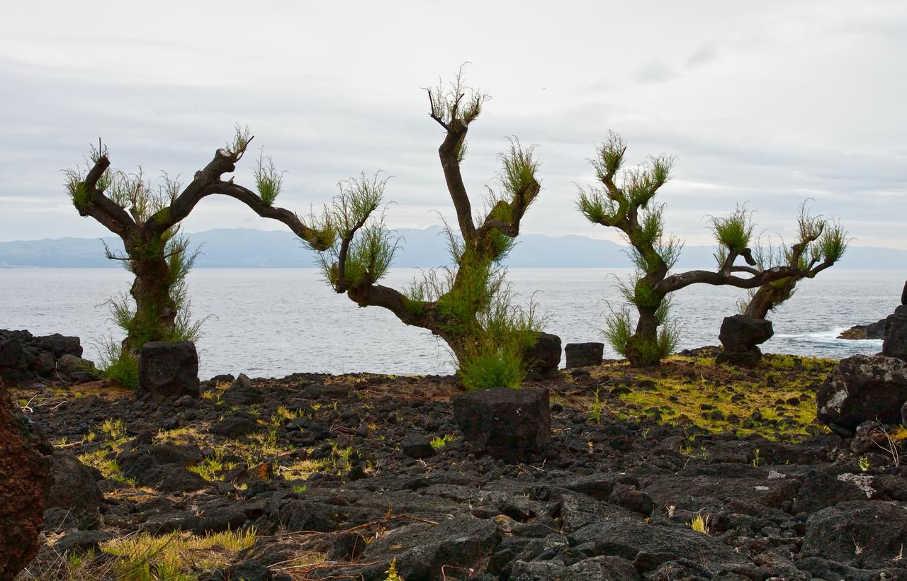 Viajar a las Islas Azores: qué visitar, cuántos días ir y qué hay en cada isla