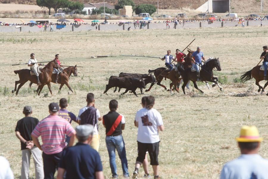 Fiestas en Zamora: Segudos espantes de Fuentesaúco