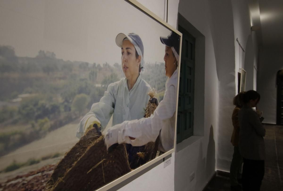 La mujer en la pasera de Montemayor