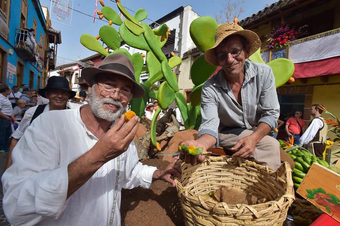 Carretas y grupos en la romería del Pino