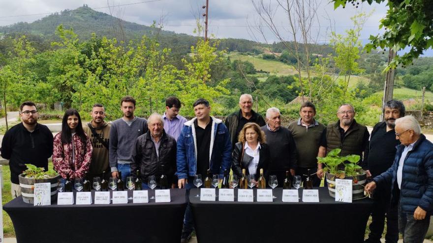 Soutomaior presume de sus vinos albariños