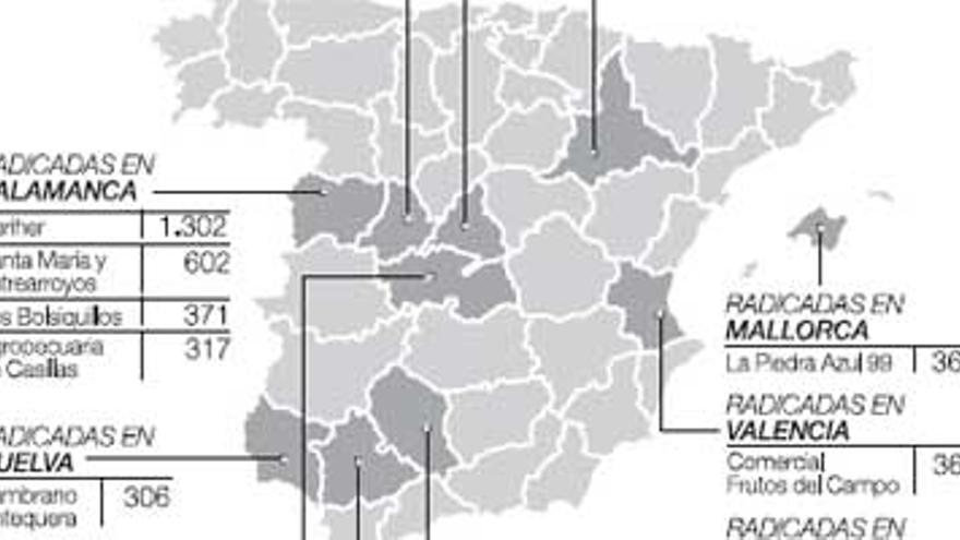 75 empresas de fuera de la región reciben 40 millones de euros de la PAC