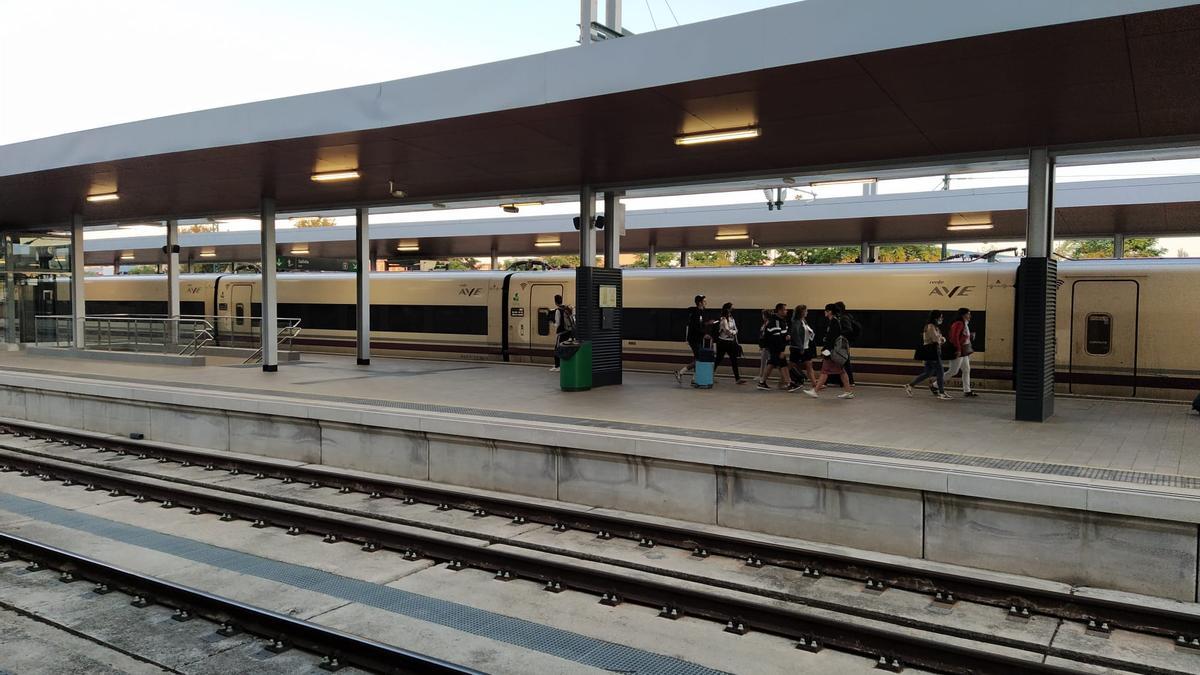 Viajeros en el andén de la estación de Zamora para coger el tren a Madrid