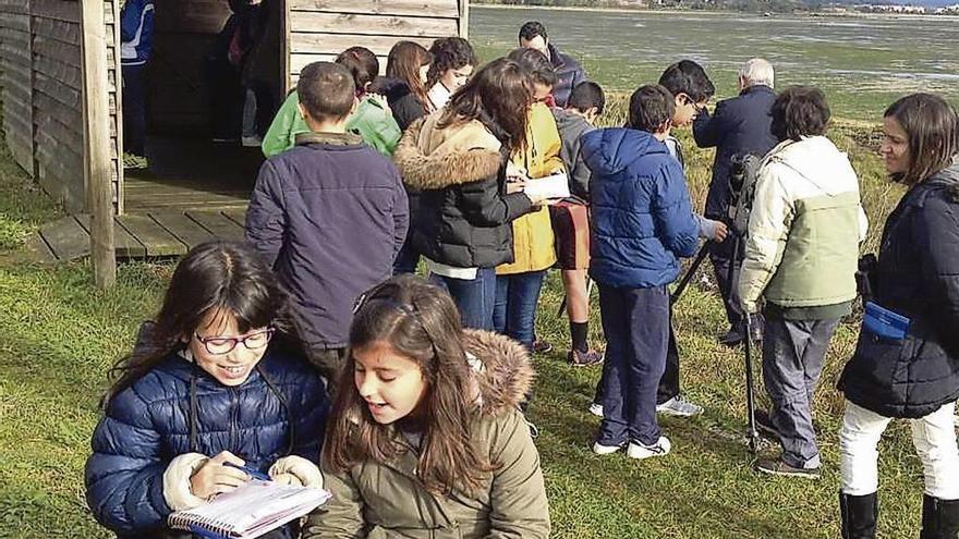 Algunos de los escolares participantes en las actividades promovidas para dar a conocer los humedales de O Grove y sus aves. // PIO