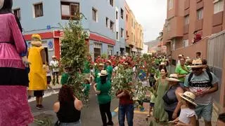 Gáldar se prepara para su día grande de Santiago con drones, conciertos y una Bajada de la Rama multitudinaria