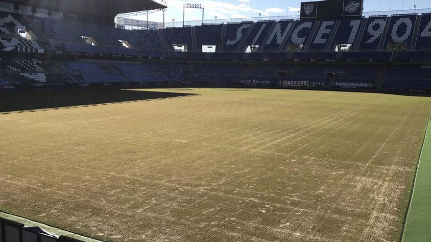 La Rosaleda comienza a prepararse para su ´regreso´