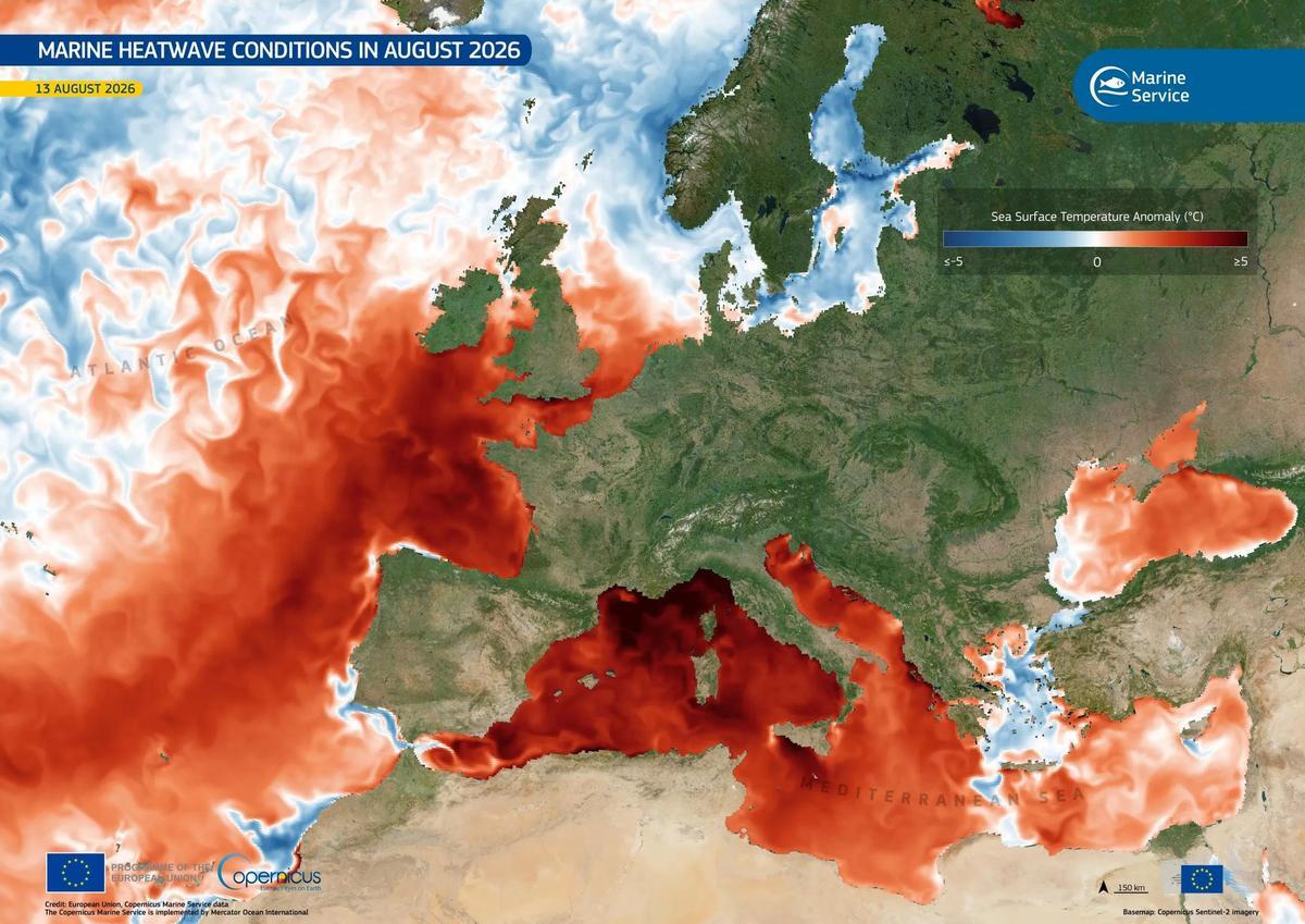 L'onada de calor marina persisteix a dia 13 d'agost de 2026.