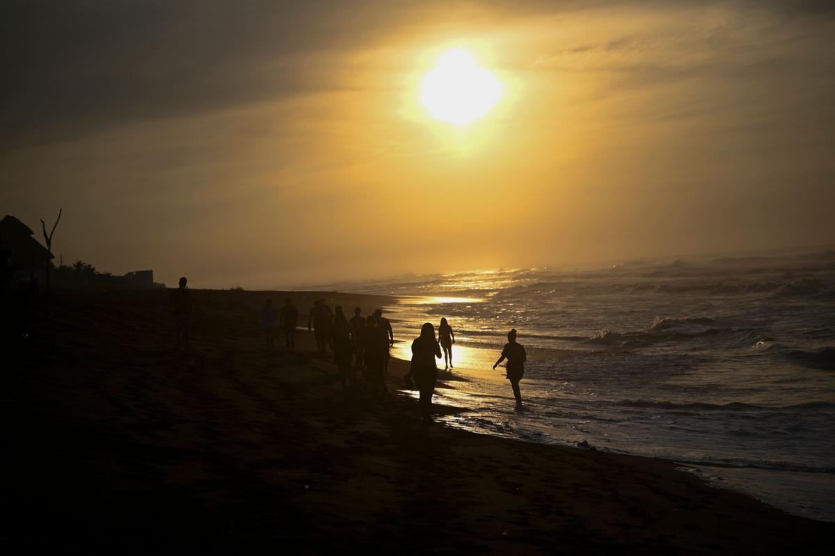 Crías de tortuga negra (Chelonia mydas agassizzii) se dirigen hacia el mar tras de ser liberadas en la playa de Sipacate, a unos 135 km al sur de Ciudad de Guatemala, el 19 de octubre de 2022.