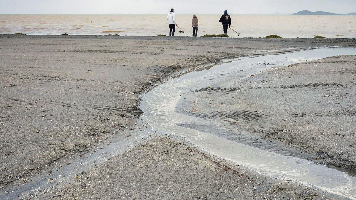 Una gran mancha marrón se extendía ayer en las aguas de la laguna