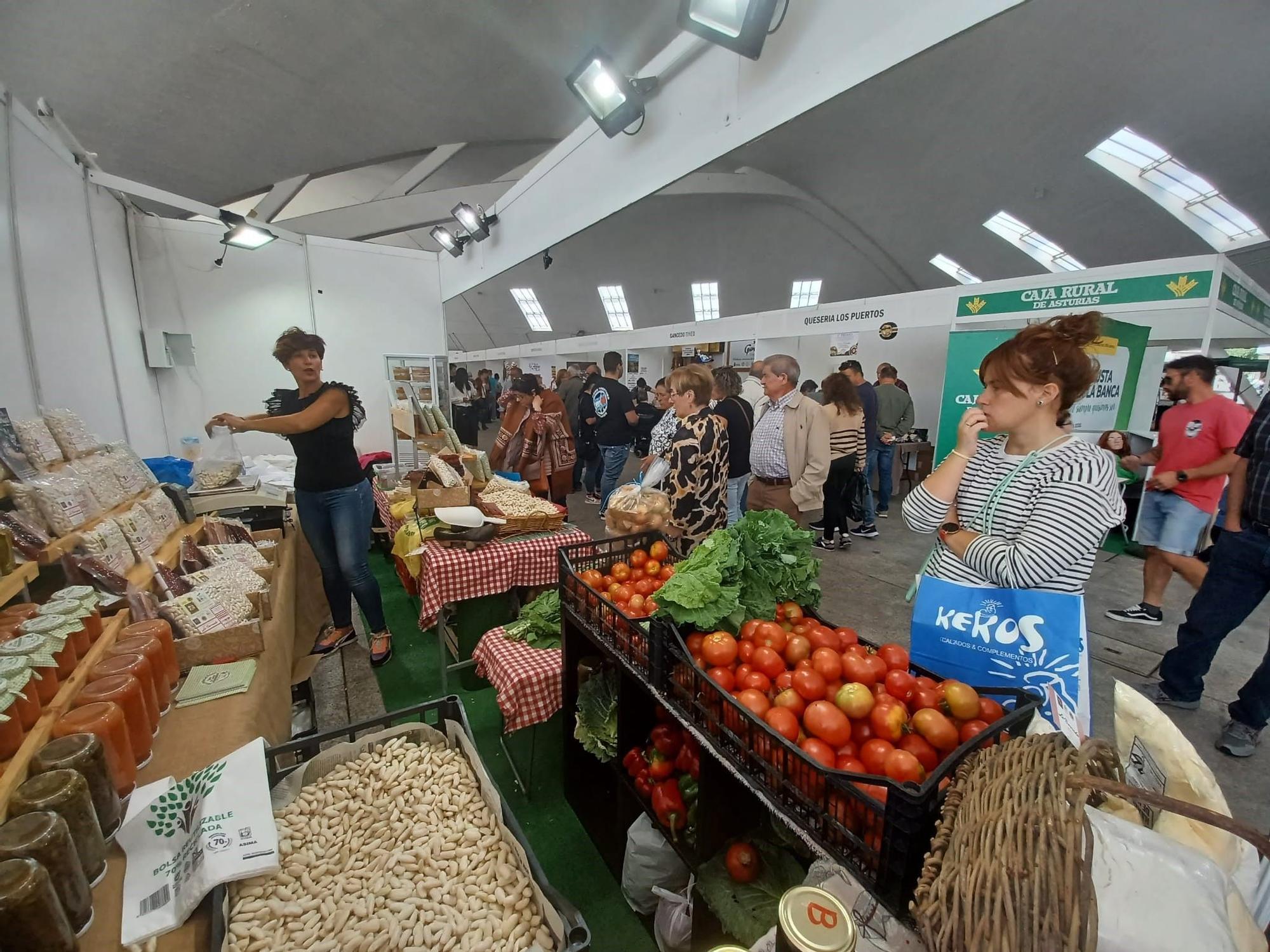 Agrosiero, así se celebra la gran fiesta del campo en la Pola