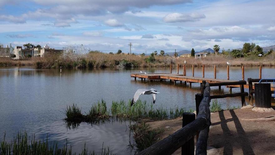 Alerta por madera podrida: Nules desmantela y cierra la pasarela del Estany para reponerla por completo