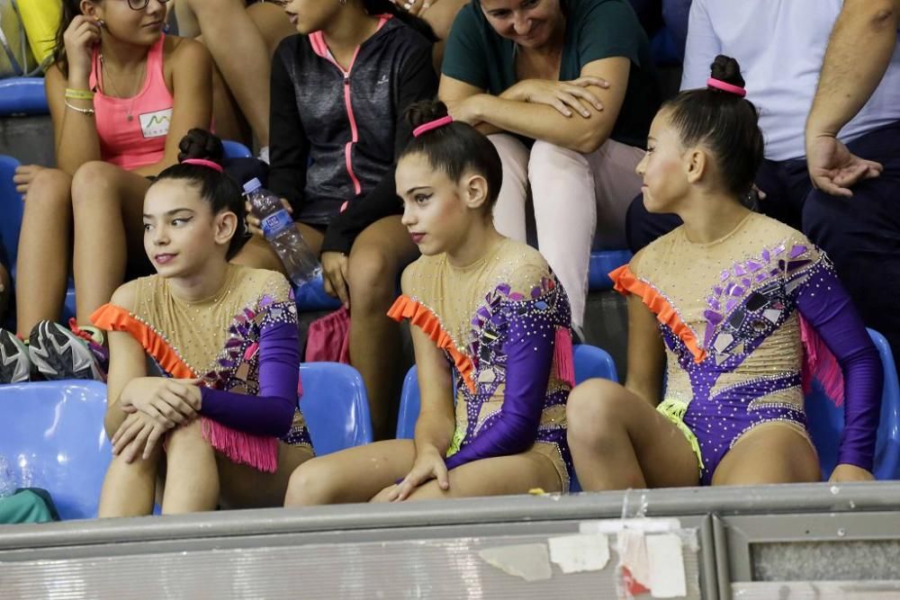 Campeonato regional de gimnasia rítmica