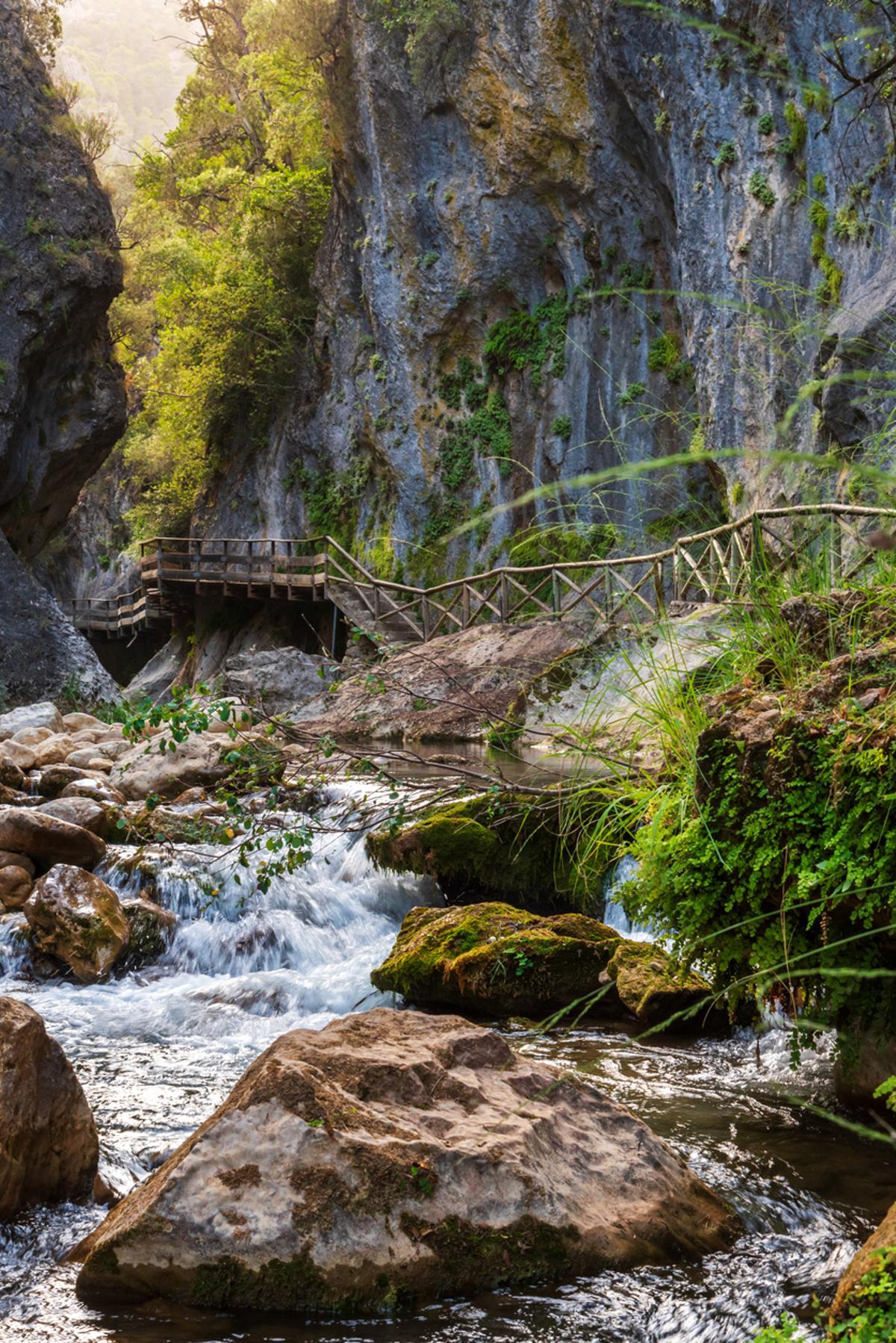 Cerrada de Elías, un paso elevado de madera sobre el río Borosa en la Sierra de Cazorla
