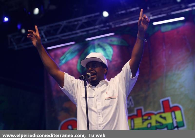 GALERÍA DE FOTOS- Cuarta Jornada del Rototom 2014