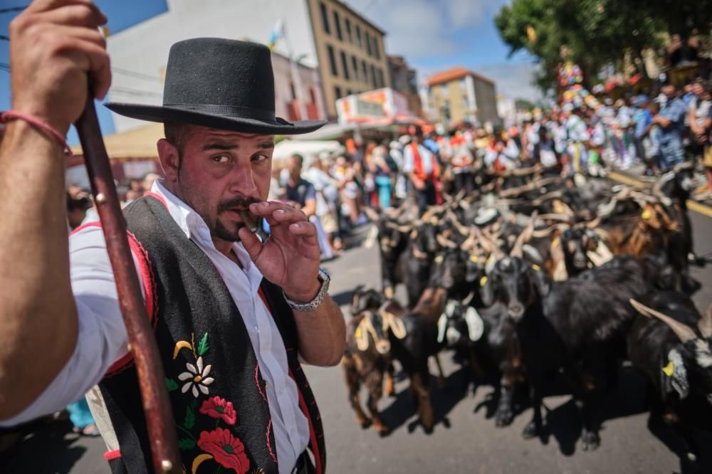 Romería de San Benito 2019