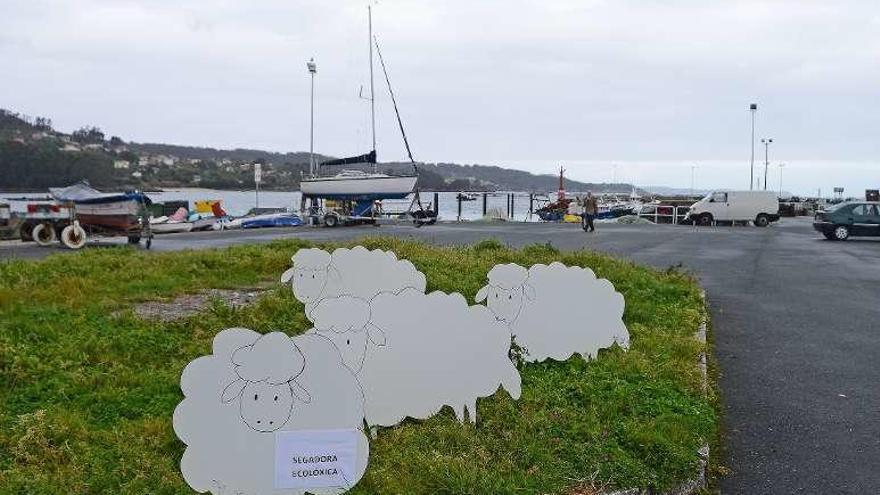 Una parte del &quot;rebaño&quot; en el entorno del puerto de Aldán. // G.Núñez