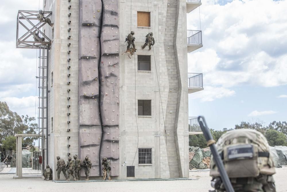 Los boinas verdes son soldados expertos en operaciones que, por su alta especialización, no pueden se desarrolladas por otras unidades, como el rescate de rehenes, reconocimientos especiales o captura