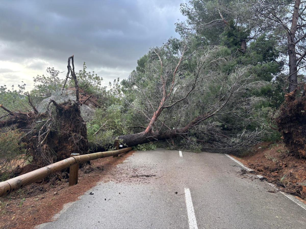 Cortada la carretera de Orient en Alaró