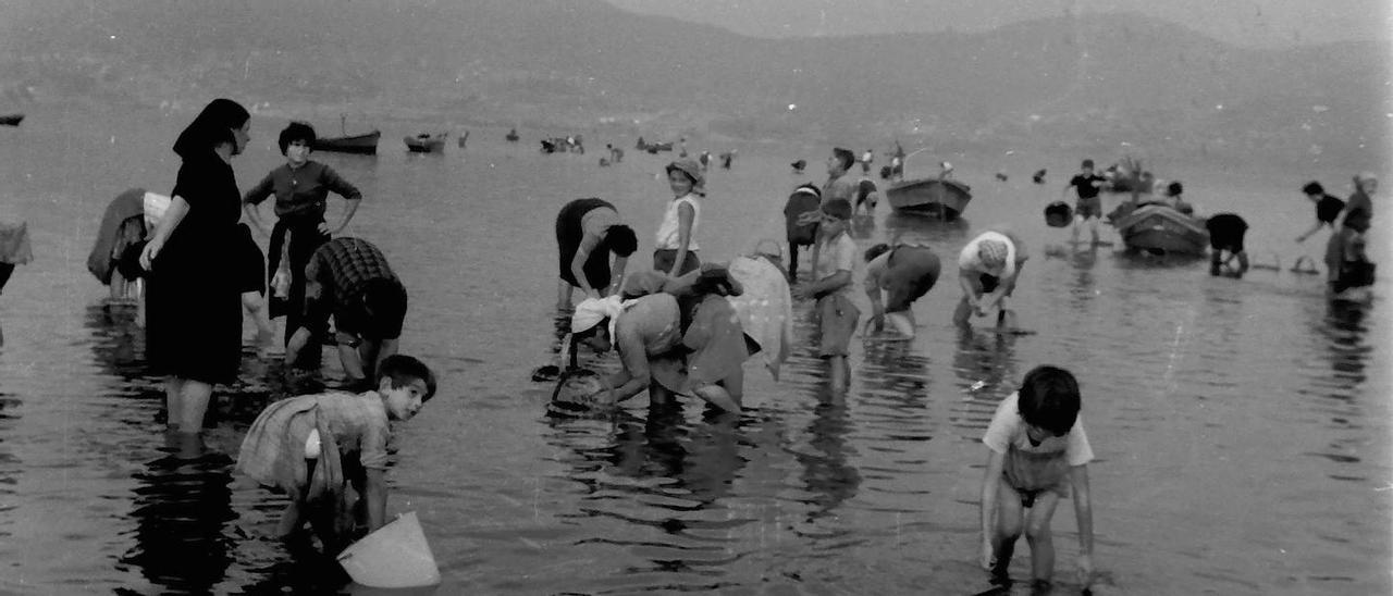 Mariscadoras  en la playa  de Cesantes  a mediados del pasado siglo.