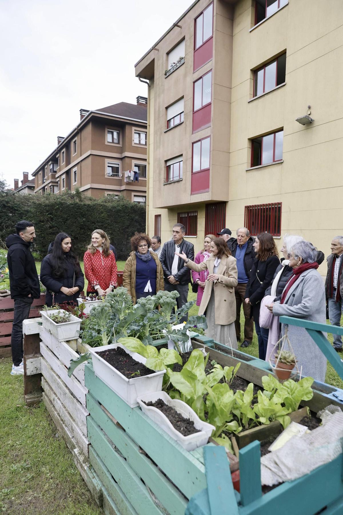 El nuevo huerto urbano de la zona oeste de Gijón, en imágenes