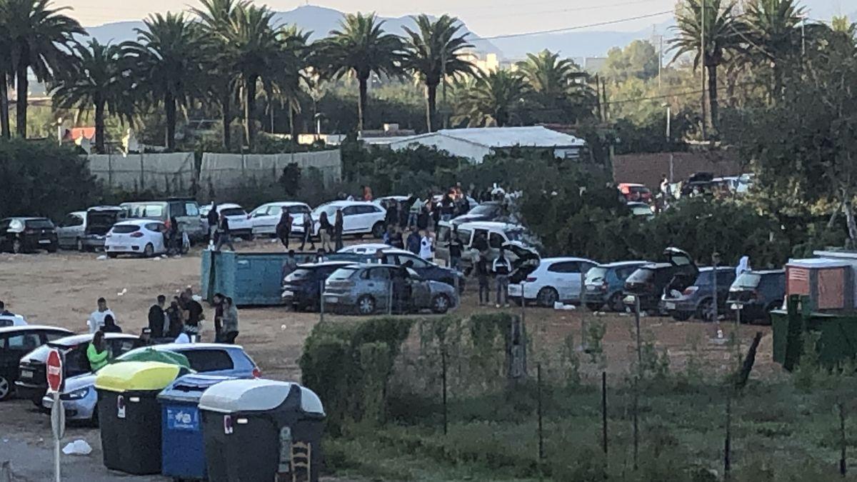 Fiesta ilegal en un solar de les Palmeres