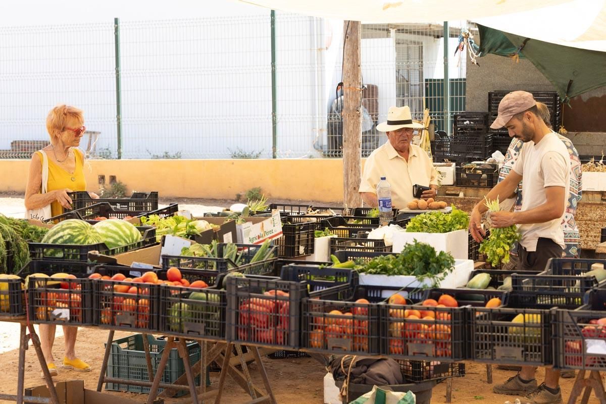 Las imágenes del mercado de sa cooperativa de Sant Antoni