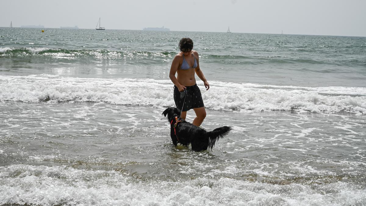 Playa Canina de Pinedo | Este es el horario